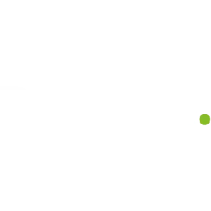logo-deloitte