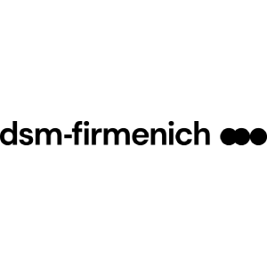 logo-dsm