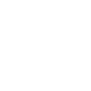 logo-preston-palace